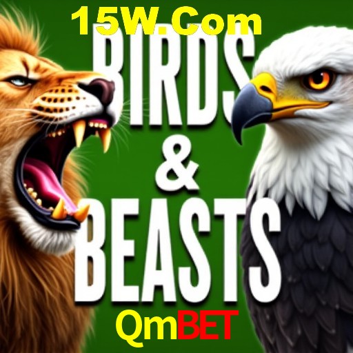 A Experiência Imersiva dos Cassinos Ao Vivo no Qmbet
